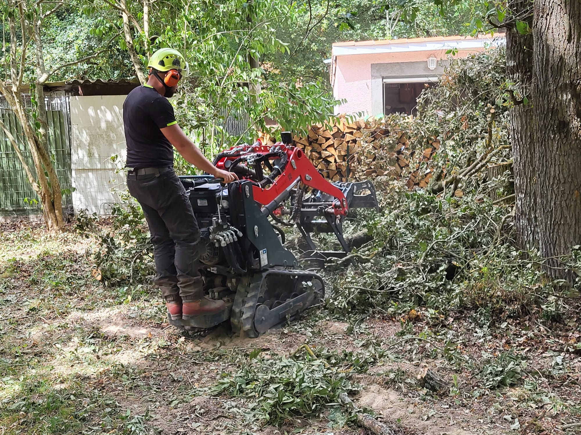 démontage d'un arbre par un élagueur grimpeur